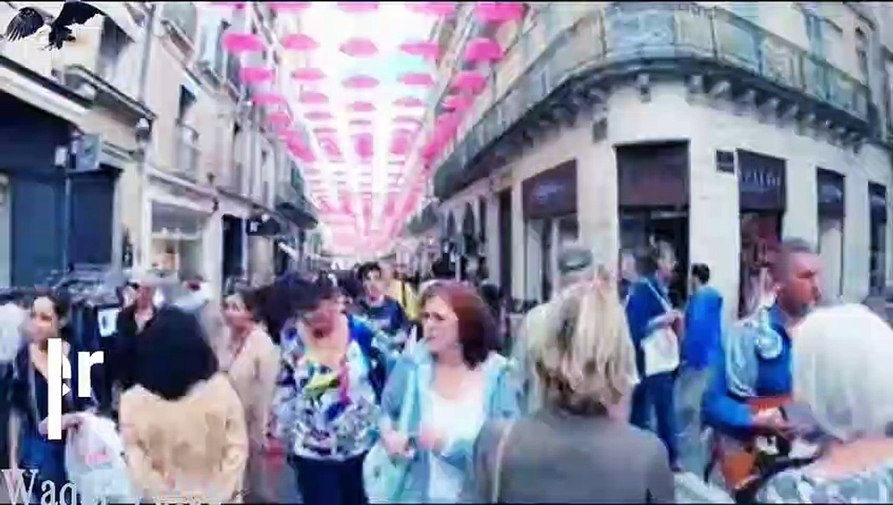 4 Types of People in Investing || How Act Like Investor