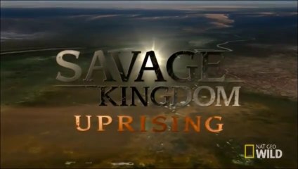 Savage Kingdom S02E02 FIRST BLOOD -  Nat Geo Wild HD