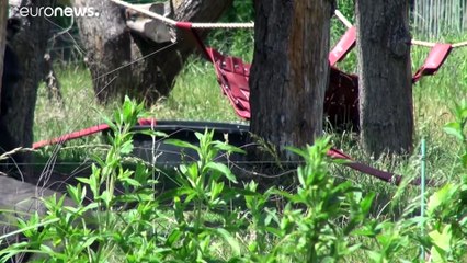 Reabren los zoos del Reino Unido, que casi no sobreviven a la COVID-19
