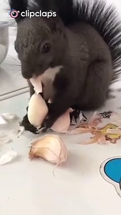 Look at the video
