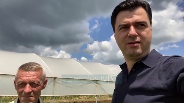 Basha: Kriza ka pushtuar vendin, PD do “shpëtojë” bujqësinë - News, Lajme - Vizion Plus