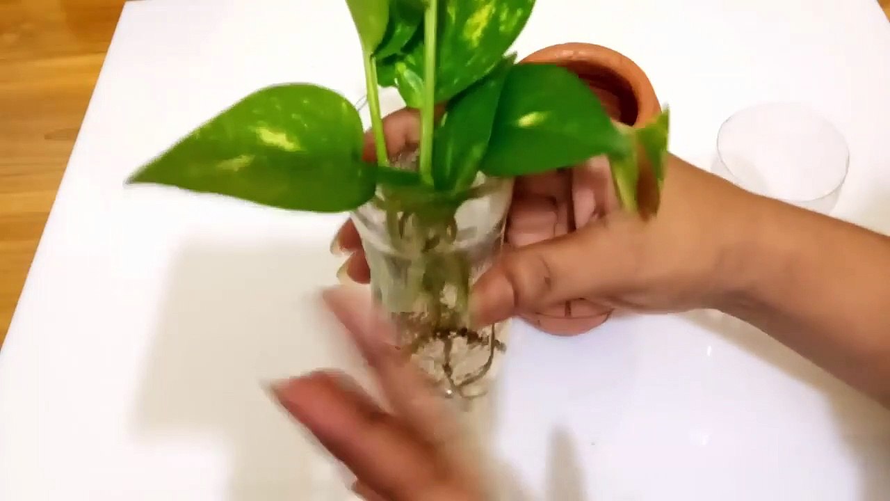Make your home green-Life Info