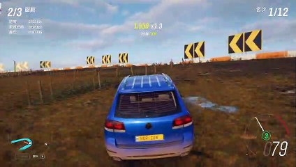 Forza Horizon 4_200612 (3)