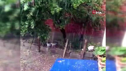 Tekirdağ'da 10 dakikalık dolu yağışı tarlaları vurdu