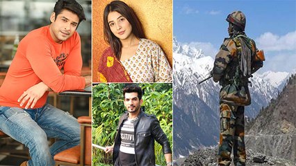 TV Stars Honours The Sacrifice Of The Indian Army At The Galwan Valley