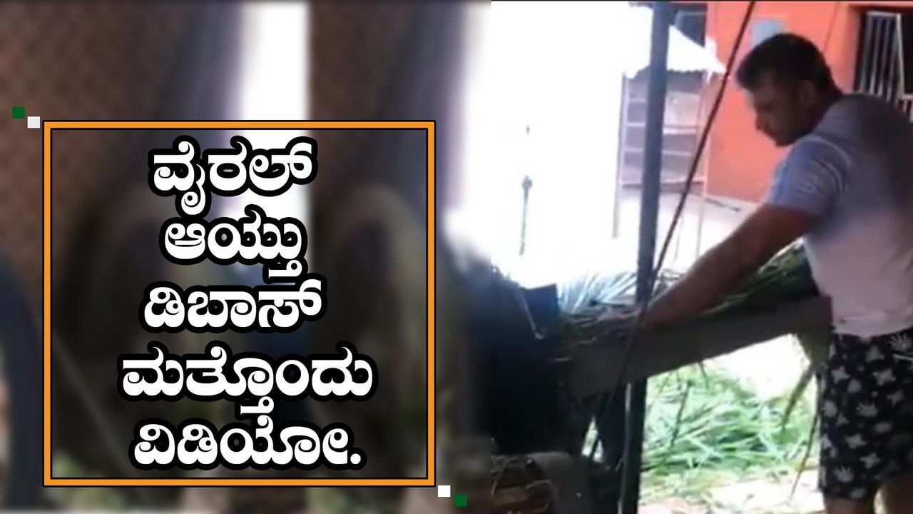 ಹಸುಗಳಿಗೆ ಮೇವು ಕತ್ತರಿಸಿದ ದರ್ಶನ್ | Darshan busy in farm House