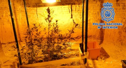 Amenaza de muerte a un policía con una catana y le descubren un cultivo de marihuana en una cueva