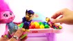 Learning Colors With Paw Patrol Babies Skye & Chase Feed Trolls Poppy in High Chair