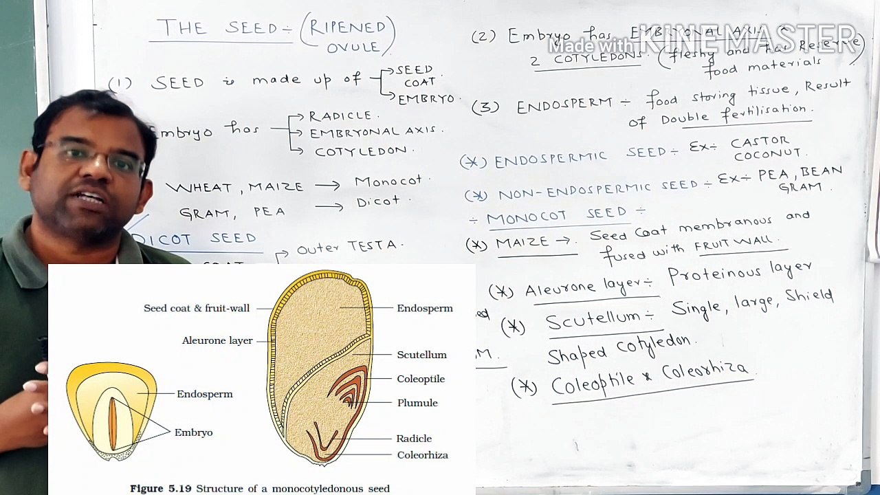 Bio-L13