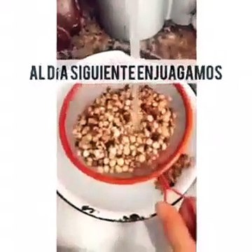 Brotes de Lenteja Antioxidantes y Revitalizantes