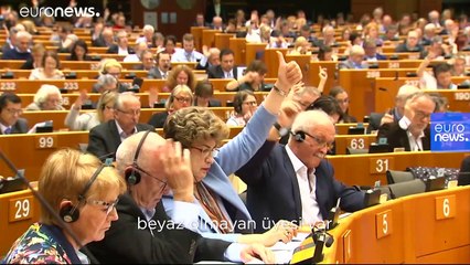 Avrupa'daki etnik çeşitlilik AB'nin yönetim kademesine ne kadar yansıyor?