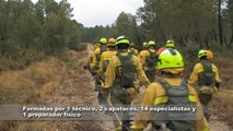 Brigada de refuerzo para incendios forestales