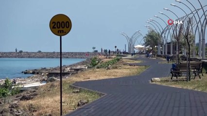 Yılanlar deniz kenarına kadar indi