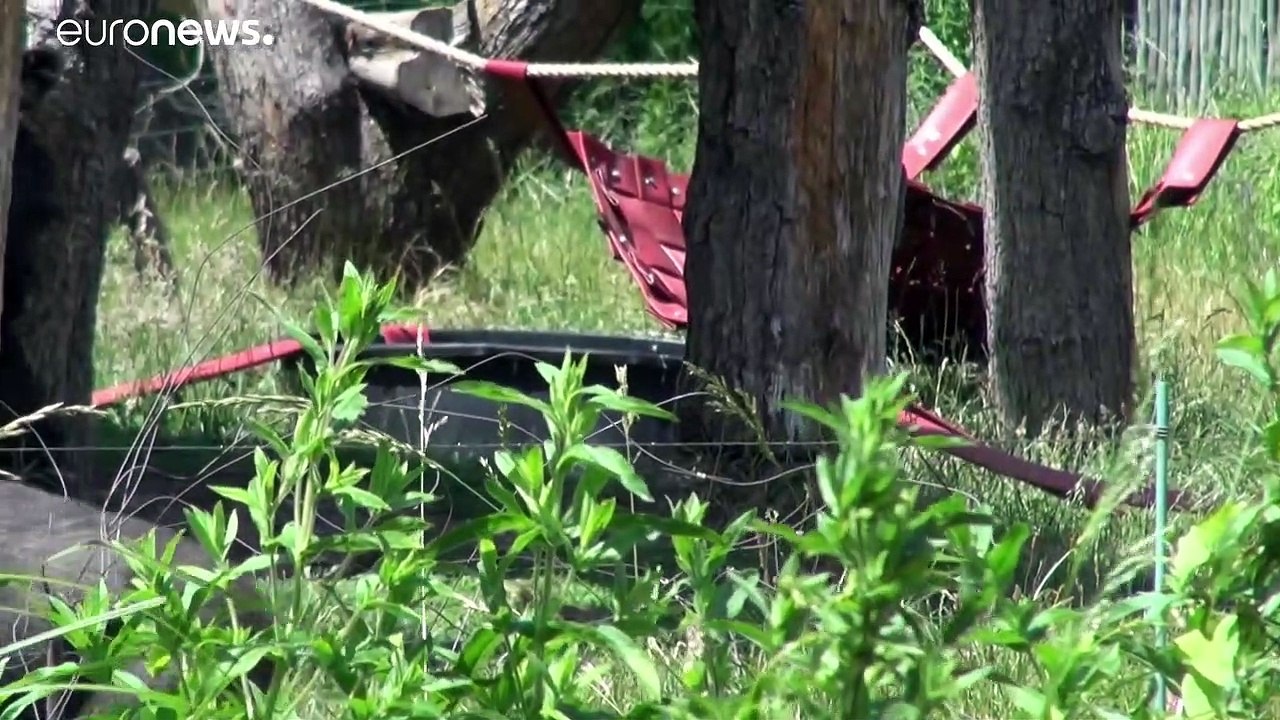 Wegen Corona-Lockdown: Zoo dachte über Notschlachtungen nach