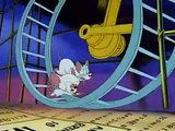 Pinky y Cerebro - Napoleon Cerebro