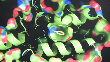 환경유해 물질 '페놀류' 탐지 해법 찾았다 / YTN