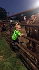 Don’t Park Your Horse By The Fence