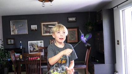 Rescuing a Hummingbird that Flew Into a Home