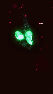 DK Nameart Status | DK | DK Status