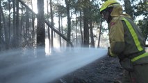 Comienza la Campaña 2020 contra los incendios forestales