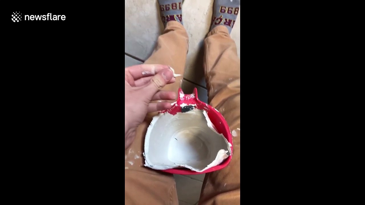 Man in Florida makes PAINT PEELING look oddly satisfying