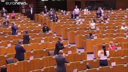 Евродепутат предлагает реформировать полицию