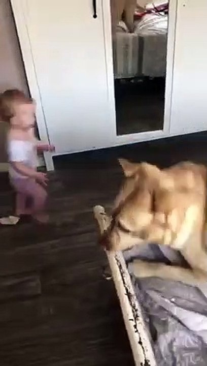 Bébé et Chien : ils sont les meilleurs amis du monde !