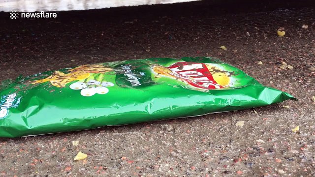 Car CRUSHES objects in this ASMR satisfying clip from Ukrainian Youtuber