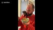 'Stop hooman!' Cat in UK stops its human from eating rice