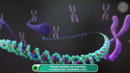 Edição genética de embriões humanos tem resultados ruins