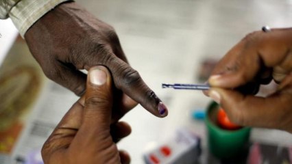 19 Rajya Sabha seats go to polls today