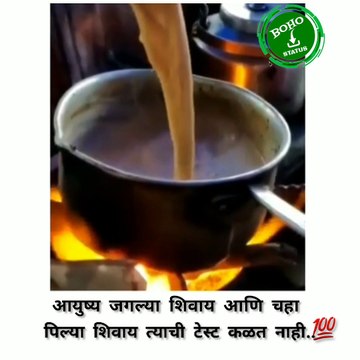 Tea lover Whatsapp Status | Good morning Status | Best tea lover video | Tea lover Status | Tea Status 2020 | New Whatsapp Status