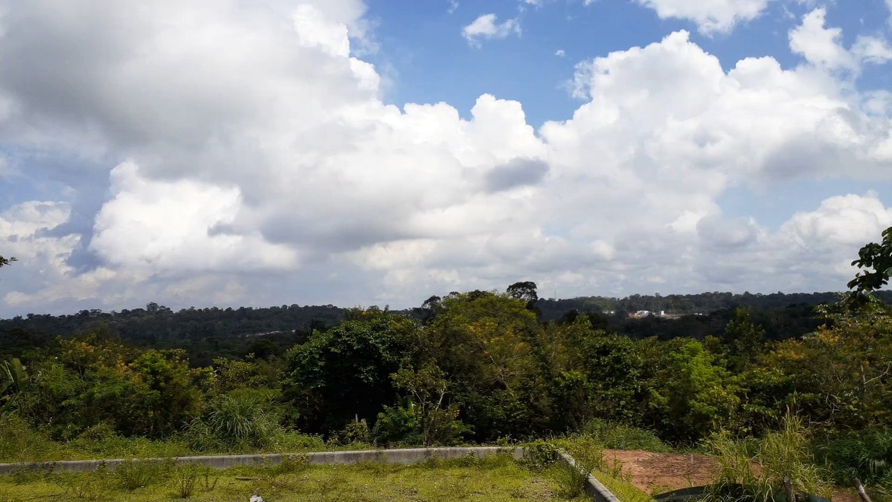SBEG Spotting]Boeing 737-400 PP-YBD na final antes de pousar em Manaus vindo de Campinas