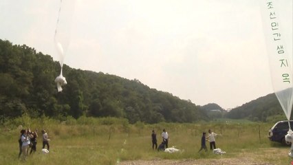 통일부 "대북전단·쌀 살포 단속 강화할 것" / YTN