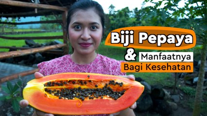 Jangan Dibuang, Biji Pepaya Menyimpan Manfaat Besar bagi Kesehatan
