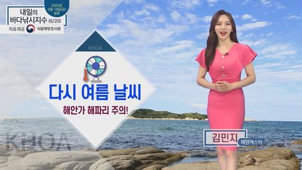[내일의 바다낚시지수] 6월 20일 토요일 다시 여름 날씨, 해안가 해파리 주의 / YTN