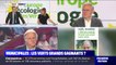 FOCUS PREMIÈRE - Les Verts seront-ils les grands gagnants du second tour des élections municipales ?