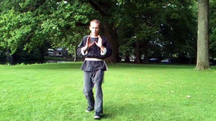 Ng Ying Tai Chi Chuan - Patrick van Steen - Five Animal Kung Fu