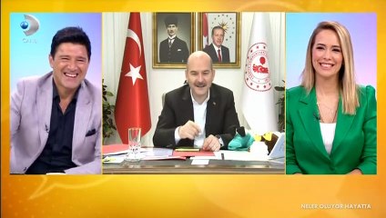 Sonunda! Ehliyet, kredi kartları ve nüfus cüzdanları birleşiyor