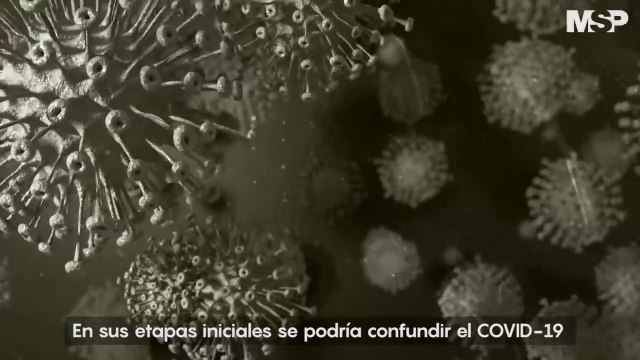Coronavirus. Covid 19. Todo lo que tenes que saber