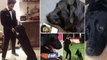 Sushant Singh Rajput Pet Dog Fudge Heart Breaking Moments || Oneindia Telugu