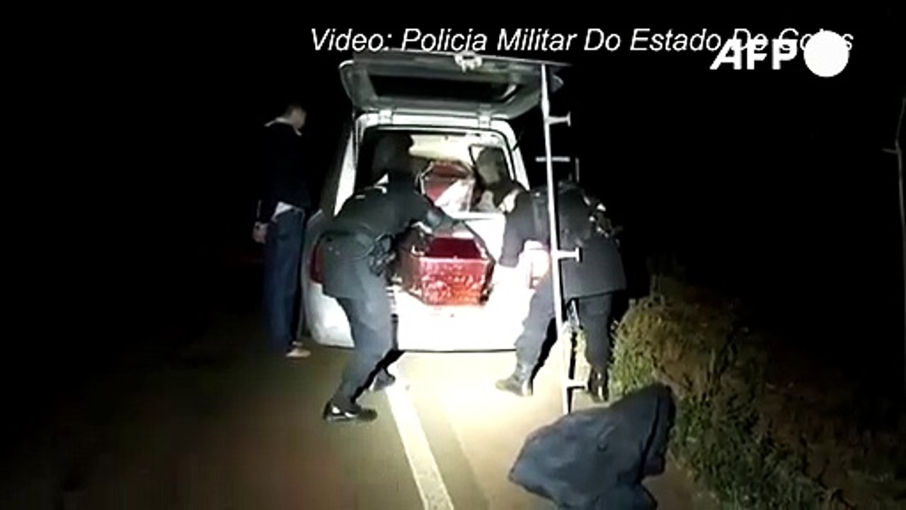 Brasilien: 300 Kilo Cannabis in zwei Särgen versteckt