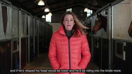 How to spot a Royal Ascot winner