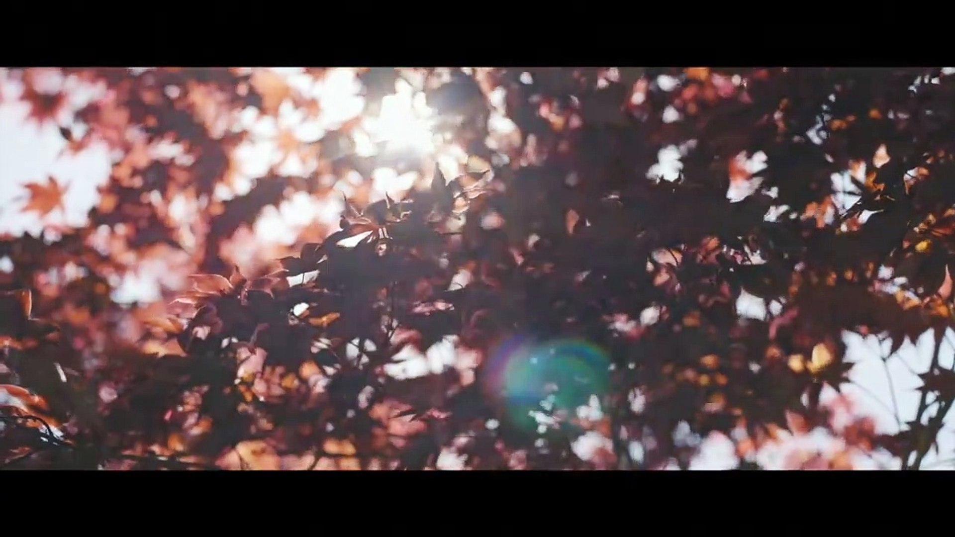 ⁣Inspiring Cinematic Background Music For Videos