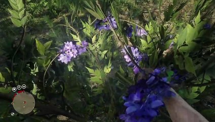 Red Dead Redemption 2 Online Localización de Objetos Colección de Guardia Nocturna