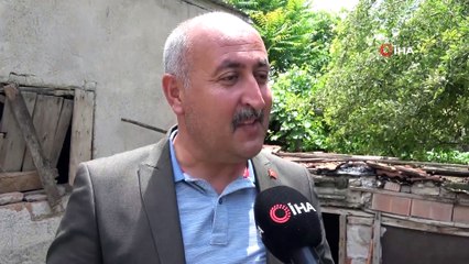 Fadime teyze geçimini yumurtadan sağlıyordu...Köpekler, tavuklarını telef etti