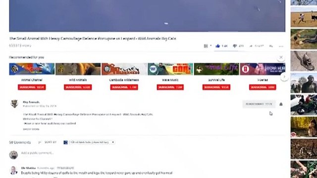 CRAZY ANIMAL, Fights Buffalo, kills Lion, - Real Fight ,Wild, Animal Attacks