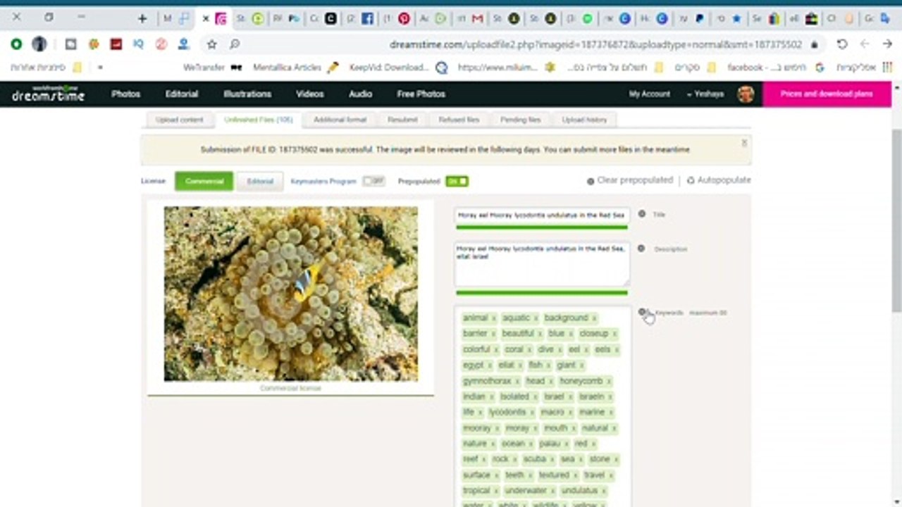 How to Sell photos and Pictures at Dreamstime and Explanations How to Make Money