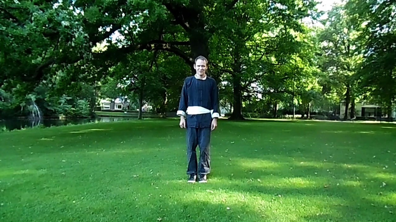 The Master Form - Patrick van Steen - Five Animal Kung Fu Vechtsport