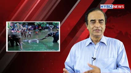 Human - Animal Conflict: Why the killing of an Elephant in Kerala, is a wake up call | hybiz tv